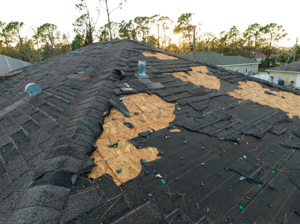 Best Roofing for New Construction  in Cashton, WI